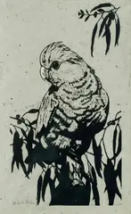 David Preston, Galah, Hand Coloured Linocut 12/20