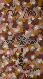 Clifford Possum Tjapaltjarri, Untitled