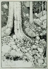 Blamire Young, Forest Ground, Pen & Ink