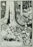 Blamire Young, Forest Ground