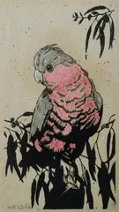 David Preston, Galah, Hand Coloured Linocut A/P 6/6