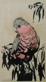 David Preston, Galah, Hand Coloured Linocut A/P 6/6