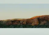 David Rose, Late Afternoon over the Leichhardt