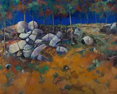 Tim Strickland, Hervey Range Hillside, 1992, Acrylic on Canvas on Board