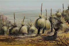 James Holmyard, Blackboys, Oil on Canvas on Board