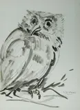 Salvatore Zofrea, Owl