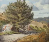 Brian Baigent, Shady Pine, Sofala, 1974, Oil on Canvas Board