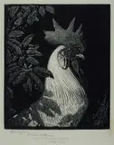 Lionel Lindsay, The Emperor (The White Cock)