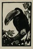 Lionel Lindsay, Toucan