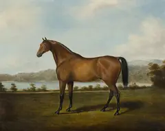 Racehorse, Sydney by Joseph Fowles, Oil on Canvas, sold Aug 2020
