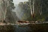 Kevin Best, Brumby Muster