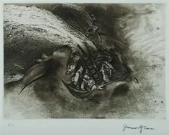 James Timothy Gleeson, Surge, 2007, Aquatint A/P