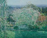 Glen Preece, Blossom Tree, Wentworth Falls, 1989, Oil on Board