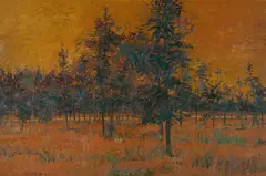 Clem Millward, Native Pines, Dusk, 1980-81, Oil on Ply