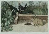 Sophie Dunlop, Startled Rabbit, Hand Coloured Etching A/P