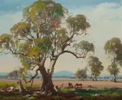 Douglas Pratt, North-western Landscape, NSW, Oil on Canvas Board