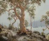 Brian Baigent, Kuringai Bush Track, Oil on Canvas Board