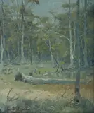 Lance Solomon, Clearing Land