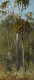 Les Graham, Springwood Bush, Oil on Canvas on Board