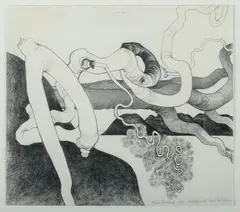 Shay Docking, Angophoras over Hawkesbury, 1976, Pencil