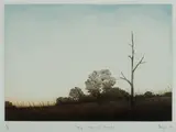 Jason Benjamin, Taking Our Tears Away,' (Raywood), 2006, Coloured Etching 41/50