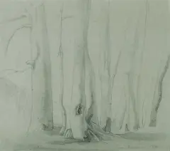 Nora Heysen, Study of Trees, 1930, Pencil