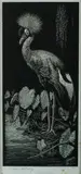 Lionel Lindsay, Crested Crane