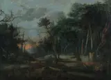 Franz Rösel von Rosenhof, Forest with Fallen Trees, Oil on Canvas