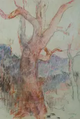 Arthur Murch, Angophora Study [Avalon, NSW], 1972, Pastel & Graphite