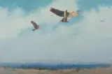 Allan Waite, Flight of Eagles