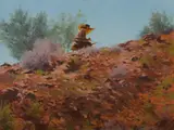 Allan Waite, MacDonnell Ranges Profile