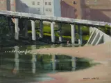 Allan Waite, Seagull Seminar, Queenscliff Lagoon