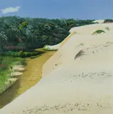 David George Rose, First Creek, Fraser Island, 1988, S/Print 63/80