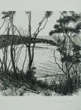 David Rose, Bateau Bay with Kookaburra