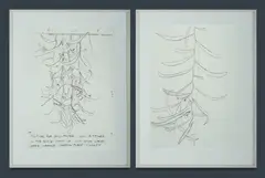 Tony Bishop, (2), Graphite on Paper (2)