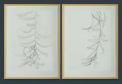 Tony Bishop, (2), Graphite on Paper (2)