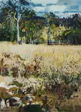 Patrick Carroll, Storm at Meadow Flat,' from Bush Movement series, Acrylic on Paper
