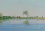 Ben Shearer, Wetlands (possibly Kakadu), 1989, W/Clr & Gouache