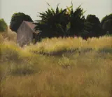 Rick Everingham, Grass House, Oil on Canvas on Board