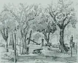Cedric Emanuel, Macquarie Place, Sydney, Pencil