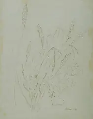 Wildflowers by Desiderius Orban, 1964, Pen & Ink, sold May 2020