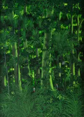 Percy Trezise, Cassowaries, Oil on Board