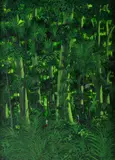 Percy Trezise, Cassowaries, Oil on Board