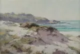 Kasey Sealy, Southern Dunes, Oil on Board