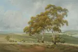 Beryl Guthrie, Sunlight and Shadows, Oil on Canvas Board
