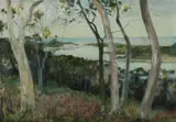 Phyllis P Waterhouse, Evening Near Jerramungup, WA, circa 1974, Oil on Board