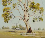Dudley Parker, Old Gum - Bendemeer Park, Oil on Canvas on Board