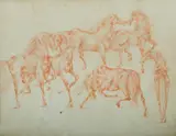 René Bolliger, Etudes de Chevaux (Horse Studies), Red Chalk on Paper