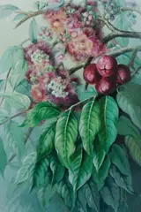 Blossoms & Leaves by Ellis Rowan, W/Clr & Gouache, sold Mar 2020