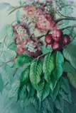 Ellis Rowan, Blossoms & Leaves